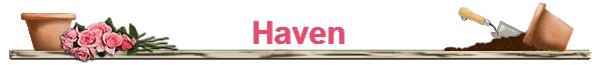 Haven