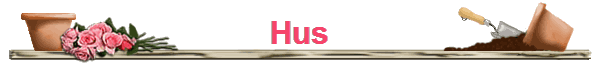 Hus