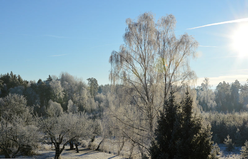 Balcony View january 10 2018