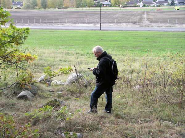 hunting planckton ducks