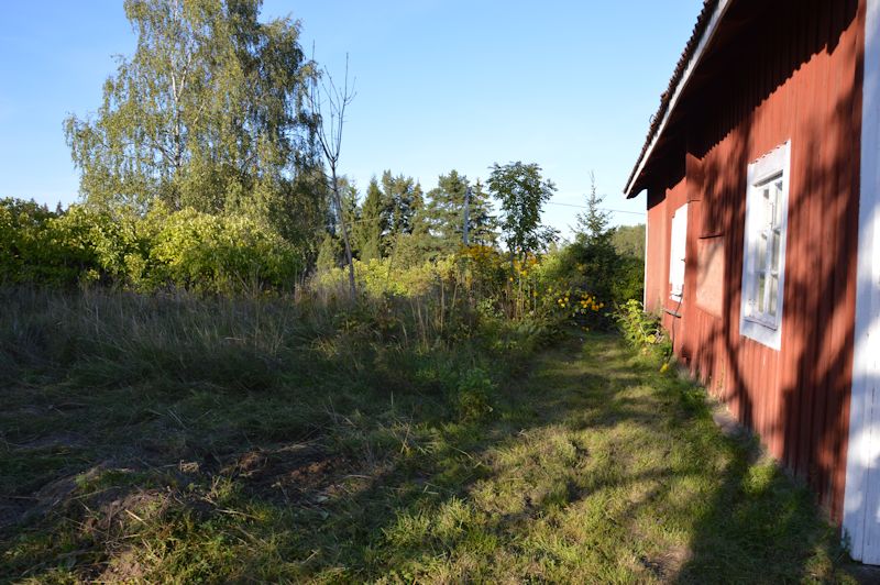 sep 2014 012 new flowerbed